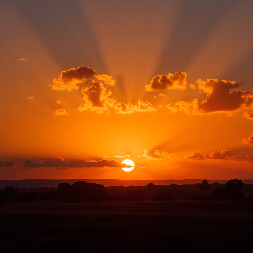 Sunset Serenity