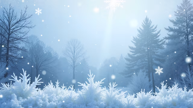 Winter Wonderland Illustration