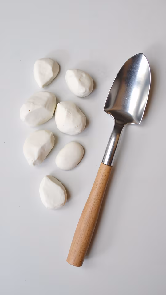 Clay Pebbles and Garden Trowel