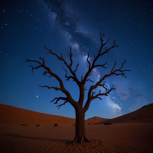 Desert Night Tree