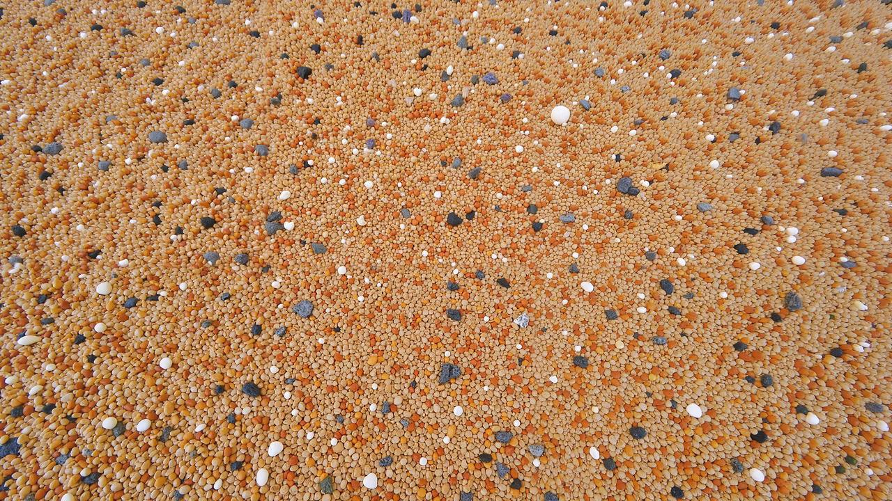 Close-up of textured gravel surface with diverse colors and grains.