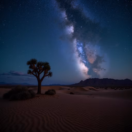 Desert Night Sky