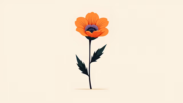 Orange Flower Illustration
