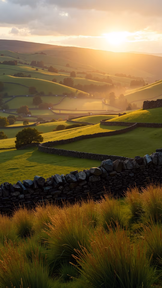 Pastoral Serenity
