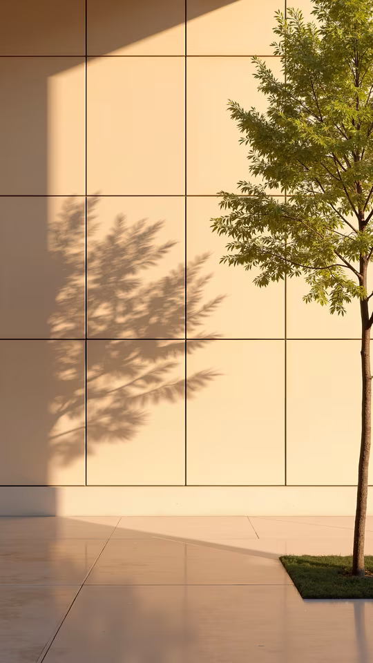 Tree Shadows on Wall
