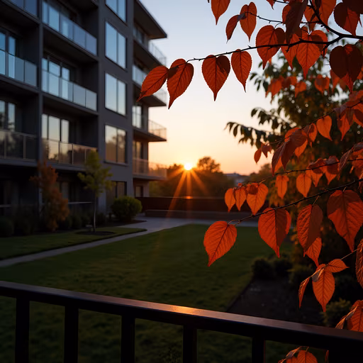 Sunset Over Urban Nature