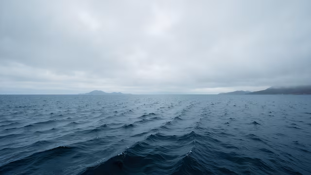 Ocean Waves
