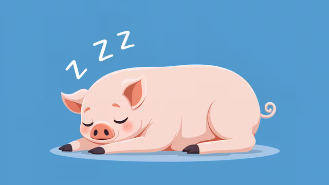 Sleeping Pig Illustration