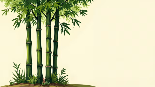 Bamboo Grove Illustration