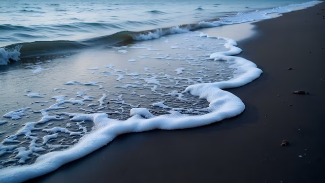 Ocean Wave