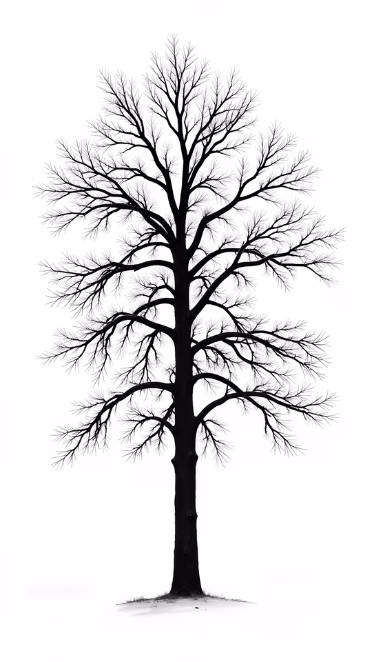 Silhouette Tree