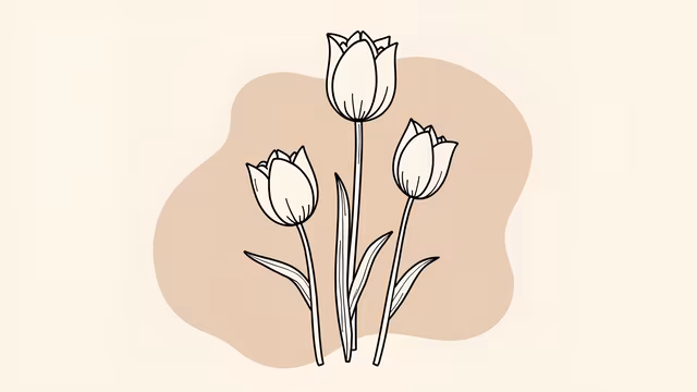 Tulips Illustration