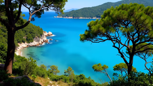 Coastal Paradise