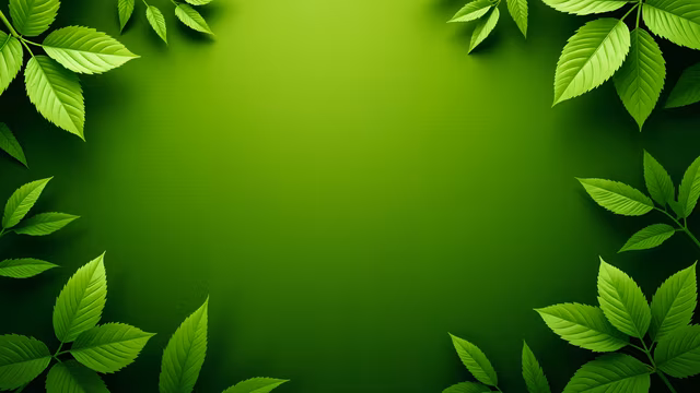 Green Leaf Border Illustration