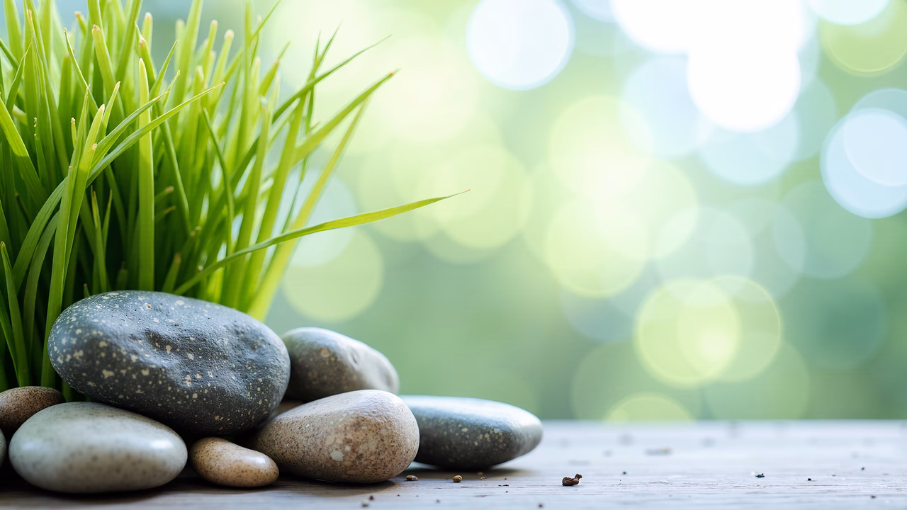 Vibrant green grass and smooth stones create a peaceful natural scene.