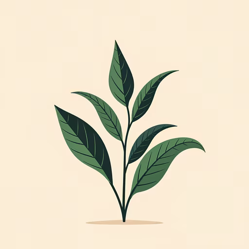 Plant Illustration