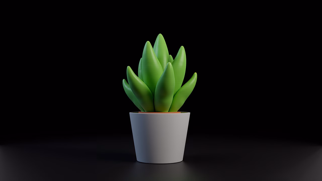 Minimalist succulent plant illustration with sharp green leaves on a black background.
