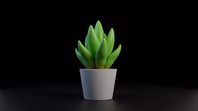 Succulent Plant Illustration