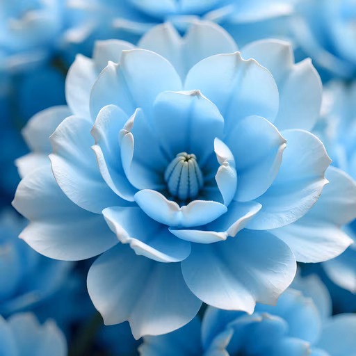 Blue Flower Illustration