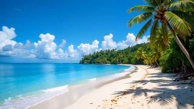 Tropical Paradise